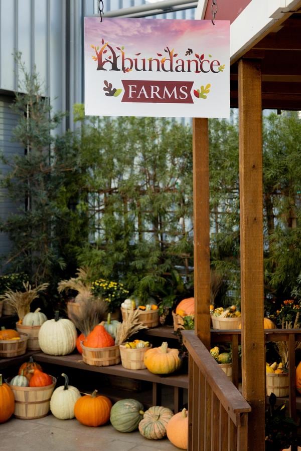 Abundance Farm Display