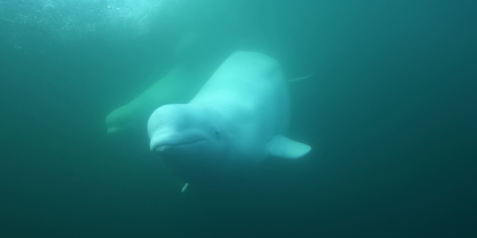 20240820_102336_001208.png (1.37 MB)