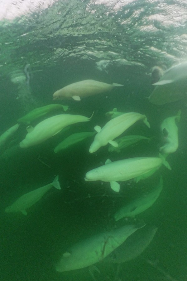 _VID_20250805_183912_00_125_2025-09-15_11-35-51_screenshot.jpg (97 KB)