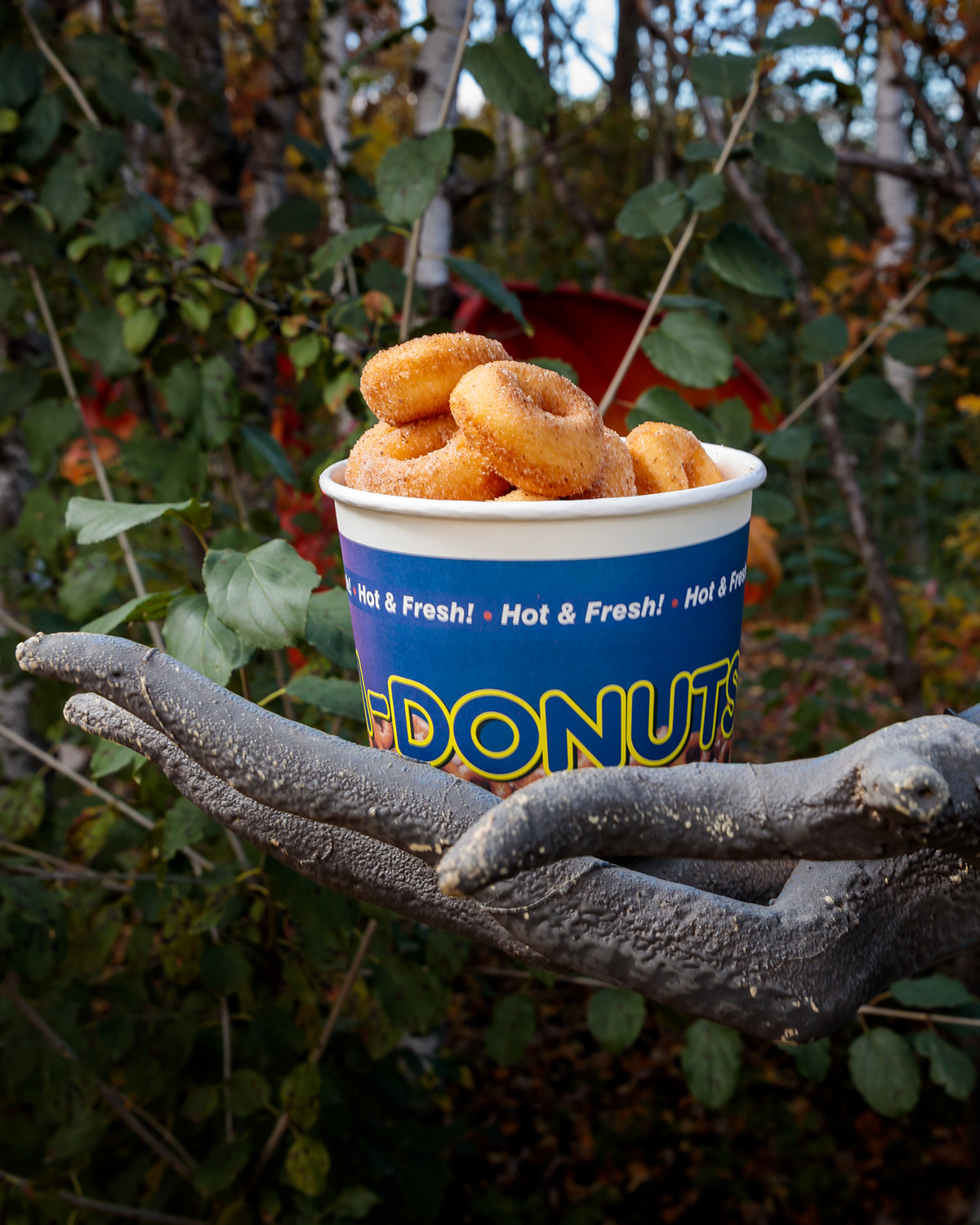 Bucket of mini donuts being held by a spooky large hand