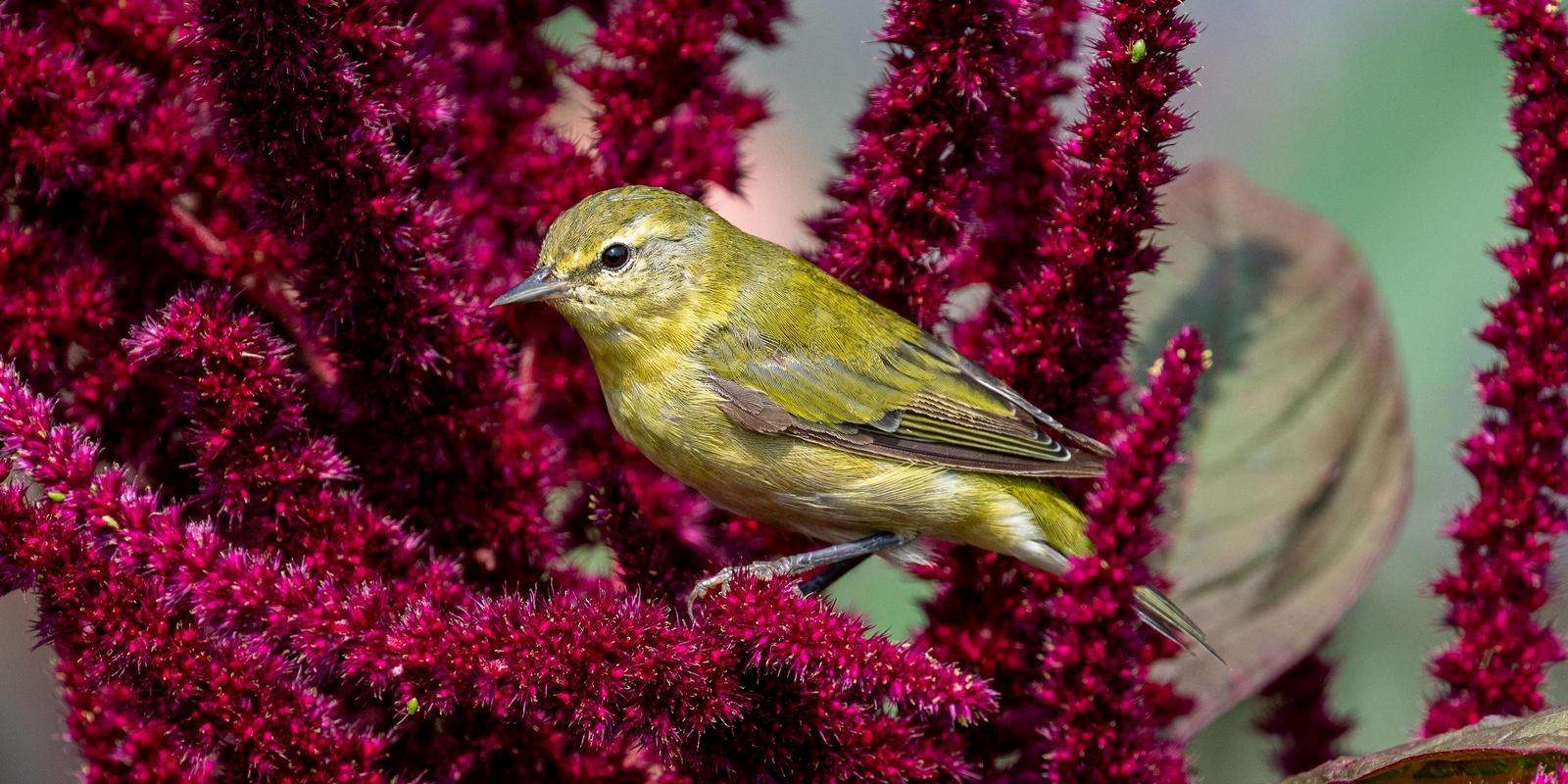 article-273.jpg (173 KB)