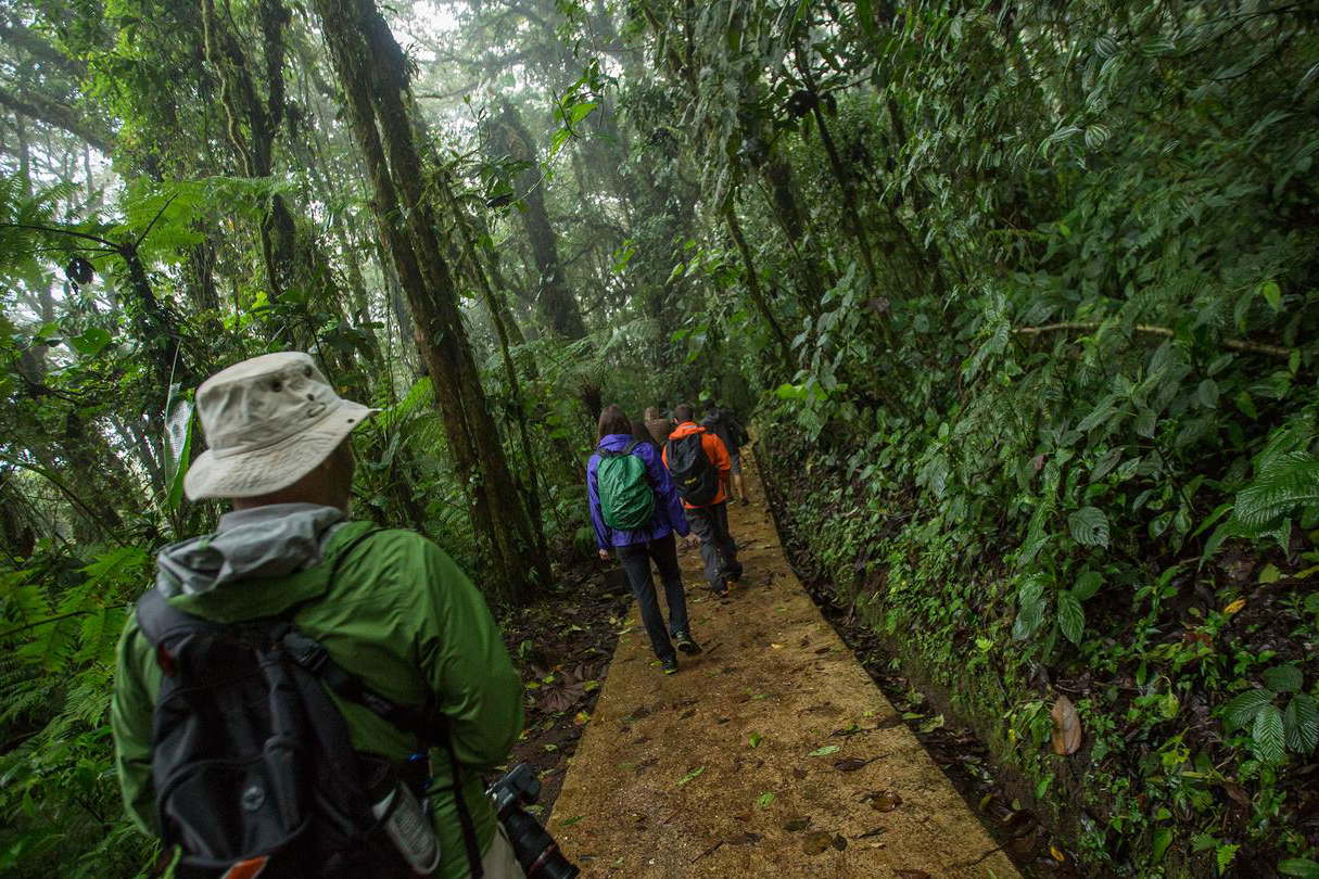 a small group hiking on a jungle path in Costa Rica