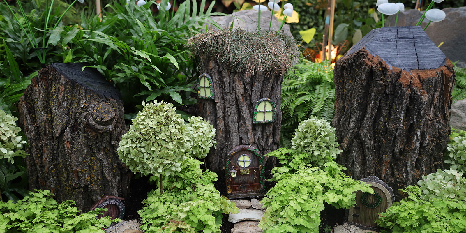 Three small stumps decorated as fairy houses sit side by side amongst plants
