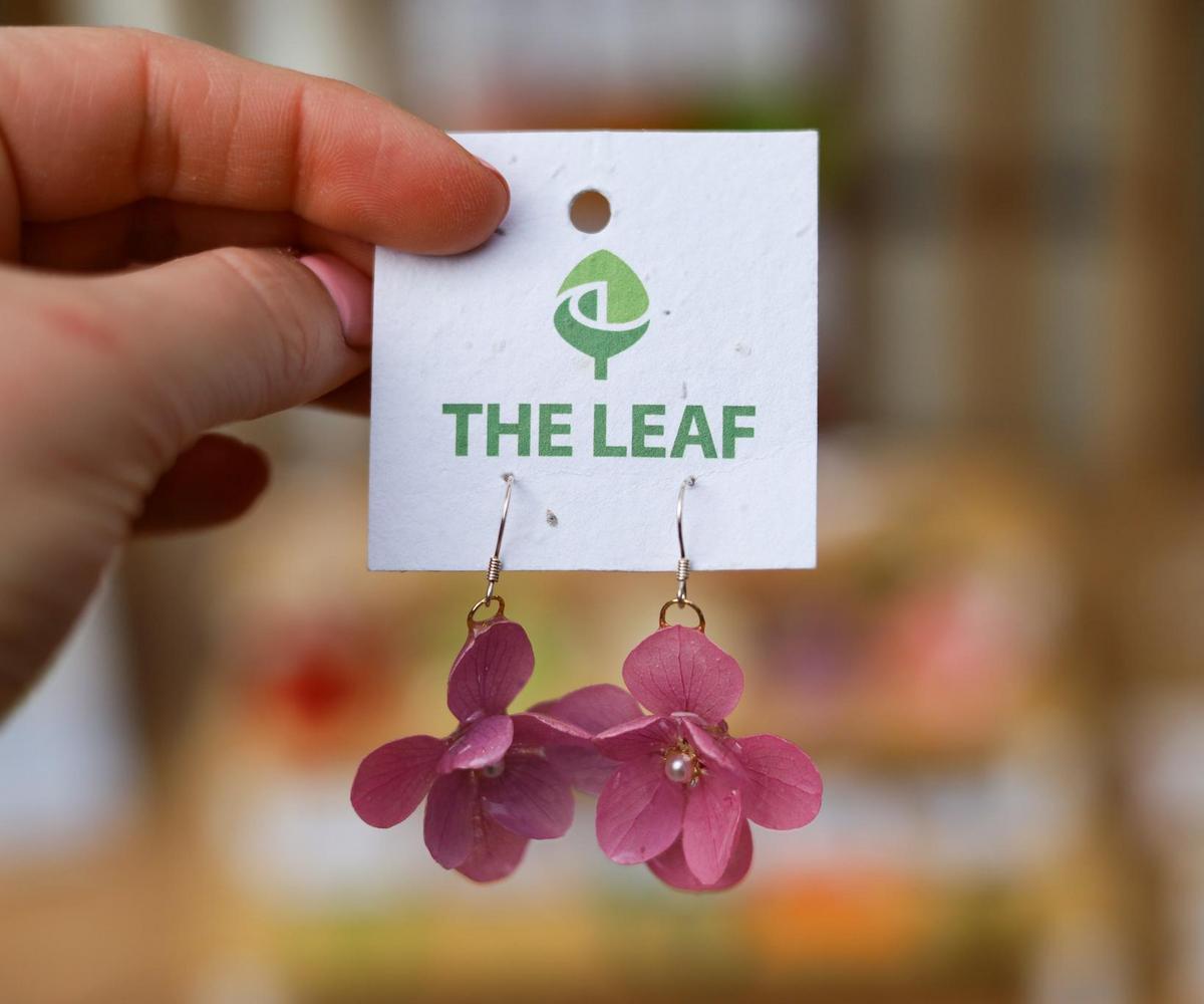 IMG_0295.jpg (102 KB)