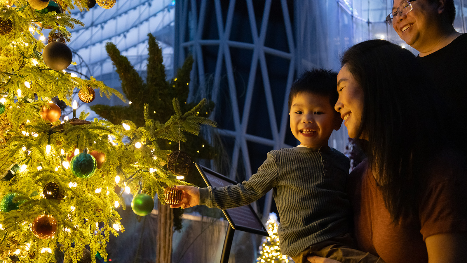 A young boy, held by his mother, reaches towards an ornament on a lit holiday tree