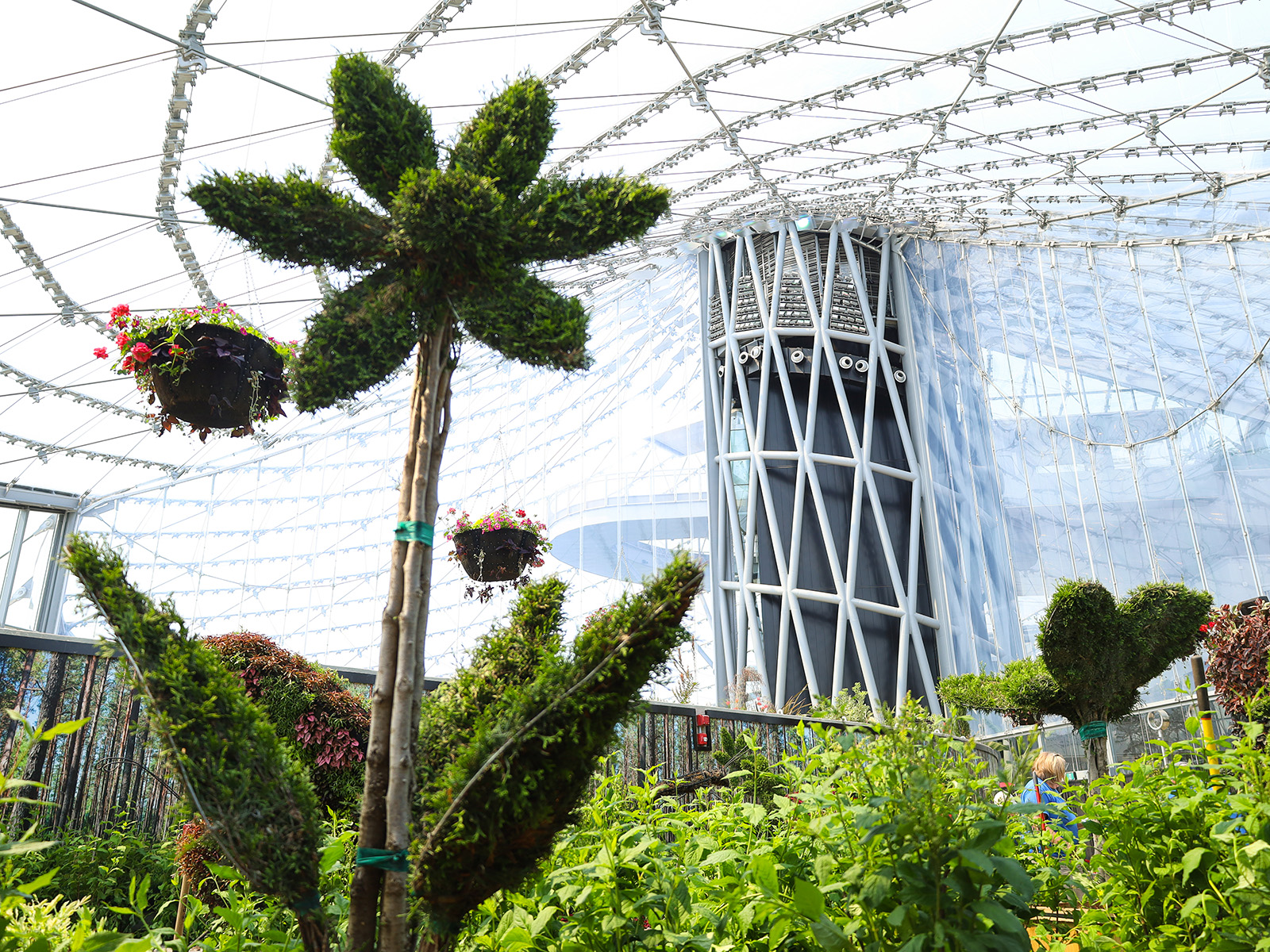 flower shaped topiary in the display biome at The Leaf