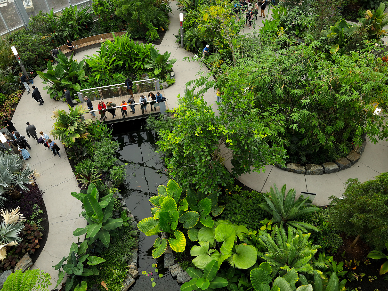 overhead view of the Tropical Biome, taken from the canopy walkway, approximately five stories high