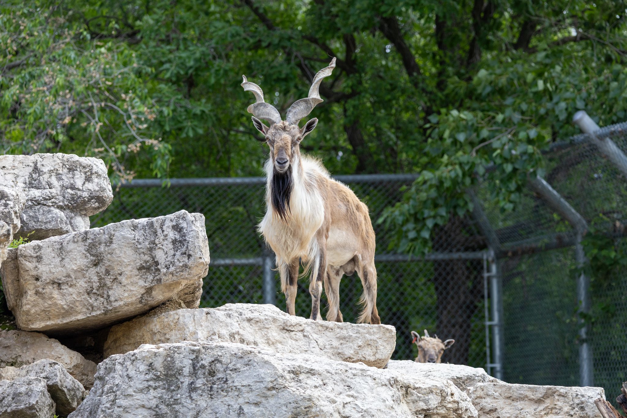 IMG_4484.jpg (585 KB)