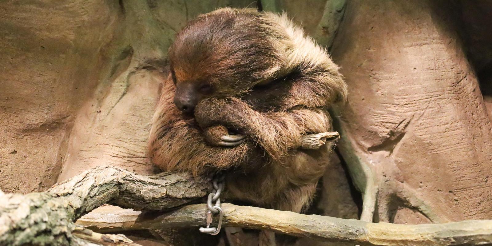 IMG_7388.jpg (256 KB)