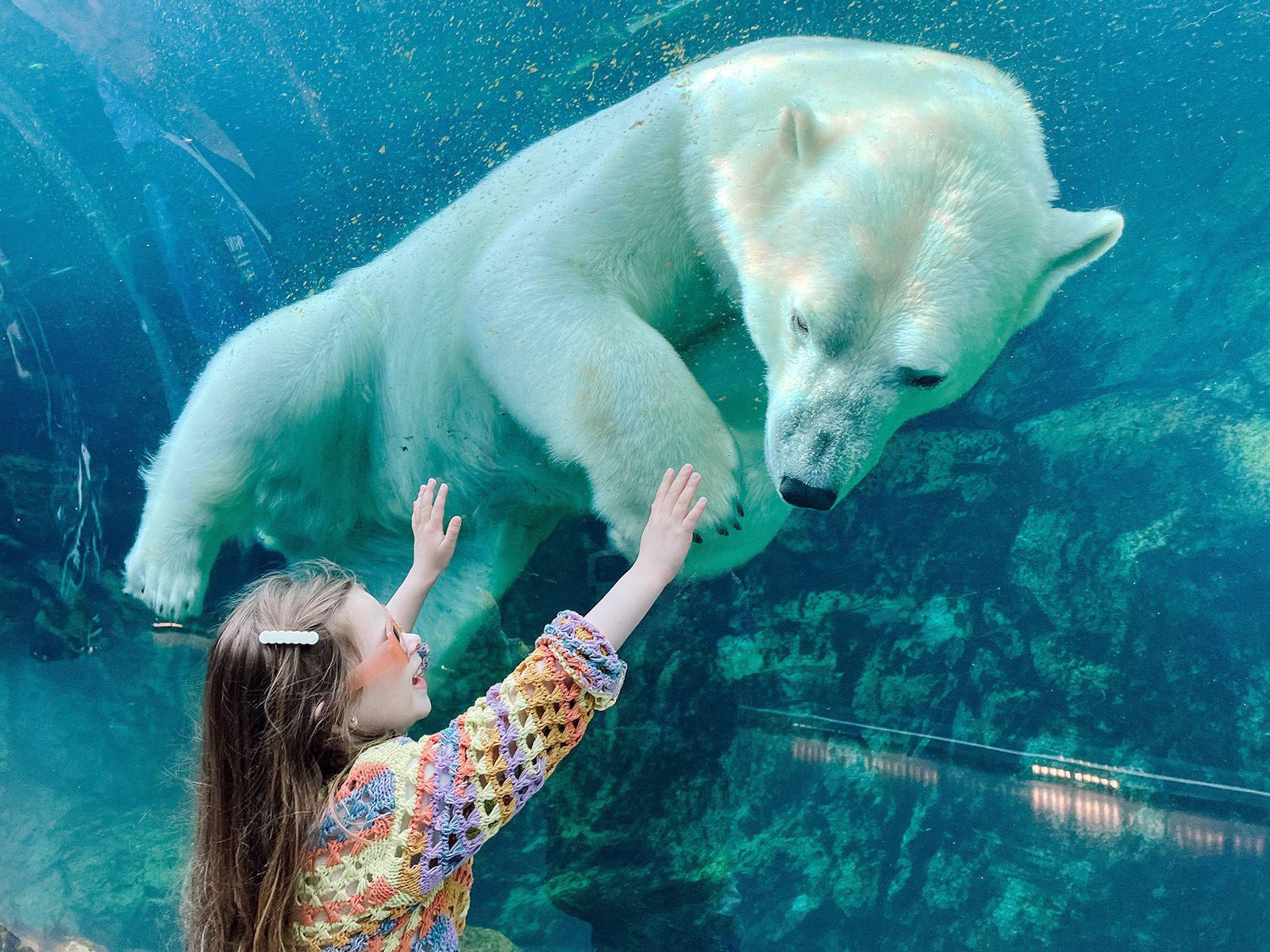 Child reaches up towards a polar bear swimming above her