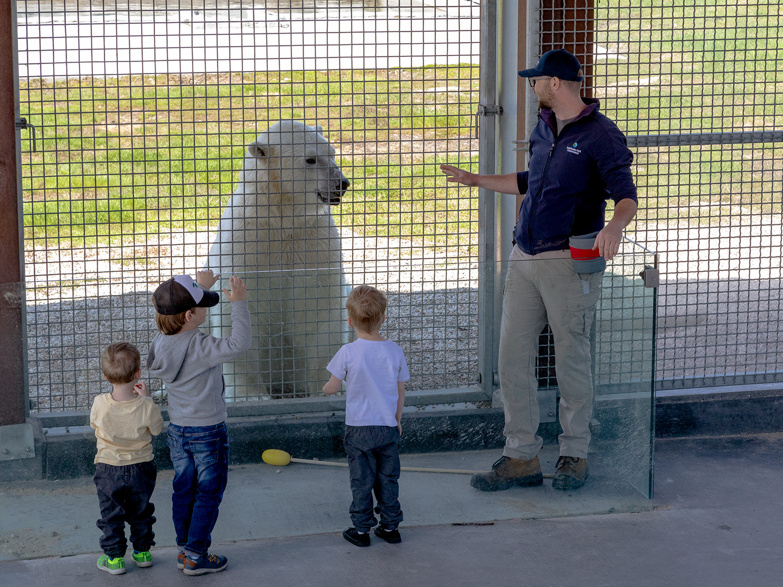 animal care professional with a polar bear behind a fence. small group of kids watch the polar bear