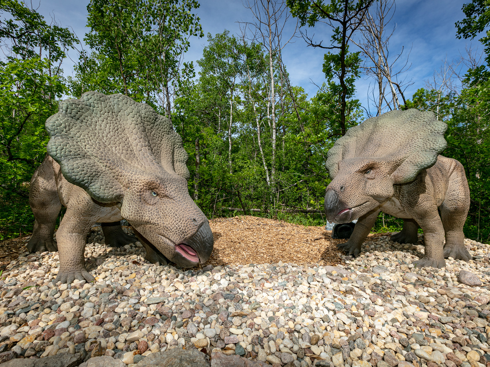 two small animatronic dinosaurs on a wooded path