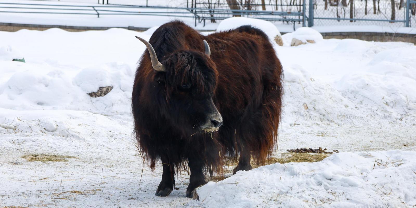 IMG_3944.jpg (198 KB)